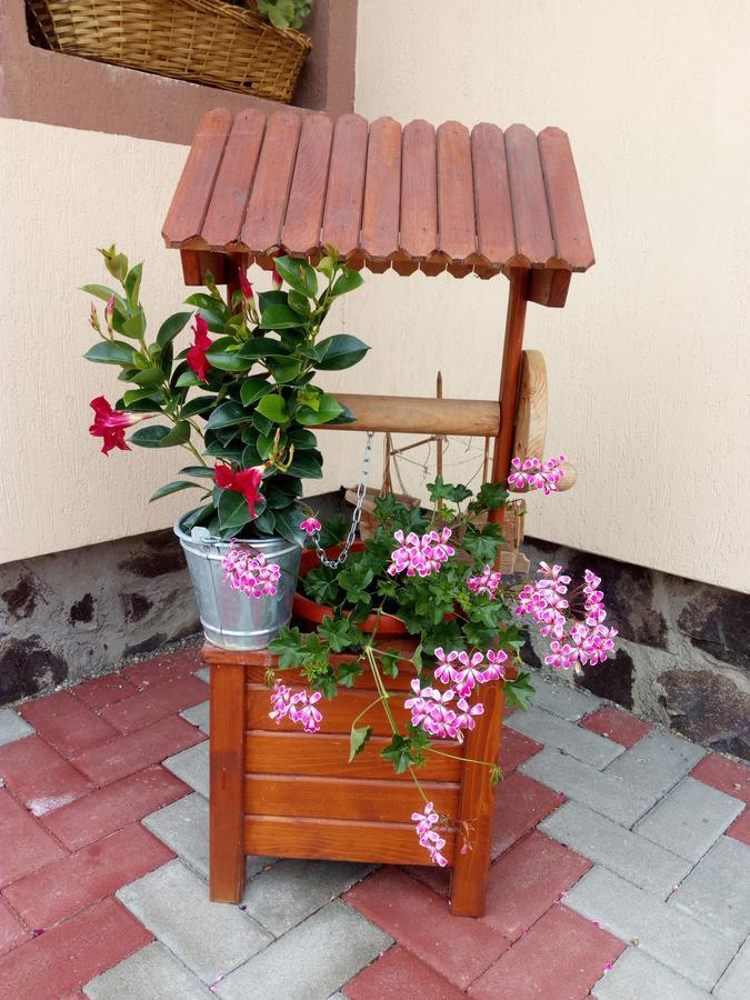 Casa Infinity Hotell Sovata Exteriör bild